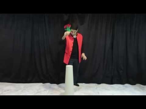 The biggest Botania in the world (55 Blooms)- by Tora Magic CO.