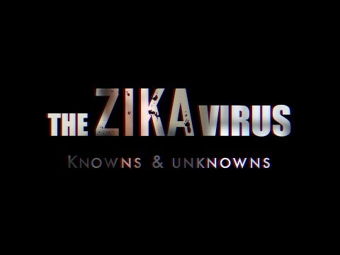 The ZIka Virus: Knowns & Unknowns