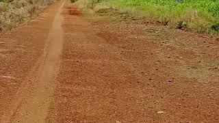 🙏3Acre agriculture farm land for sale  price acre 35 lakh🙏