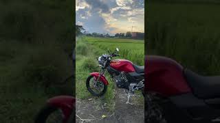 Download lagu story wa tiger viral🔥 #tigermodifikasikediri mp3