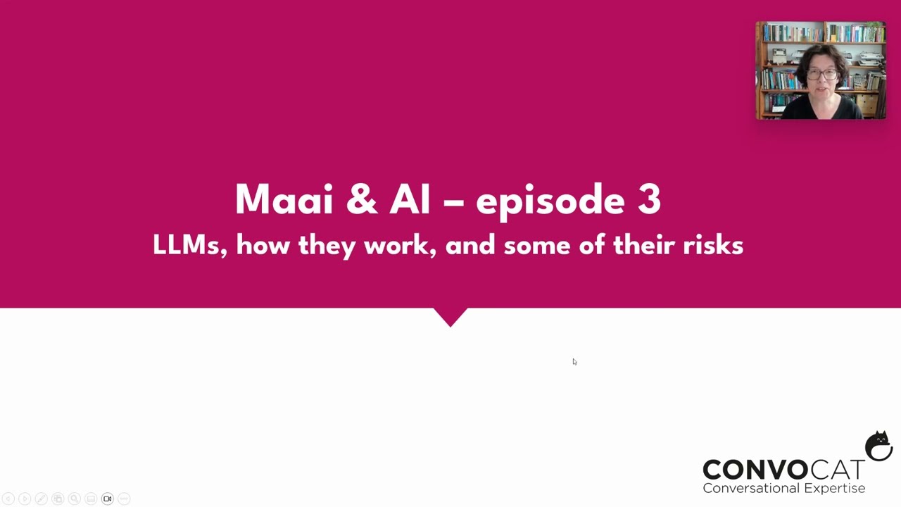 LLMs: how they work in a nutshell and some of their risks