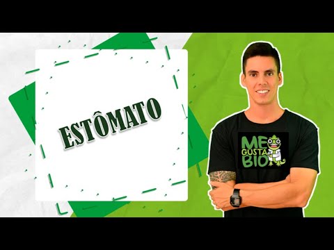 TRANSPIRAÇÃO VEGETAL - ESTÔMATO