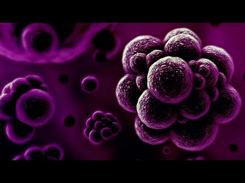 Click to Watch the Is this the way the world ends? Humans have officially lost the war against bacteria video