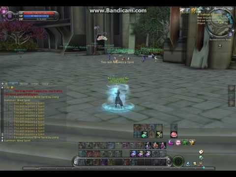 Aion Leo SM Spirit Summon Bug