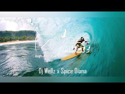 DJ WELLZ x SPICE DIANA   Now   [OaVib3z muzic]