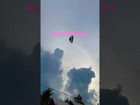 beautiful flight #kite #pipa #pipas #kiteflying