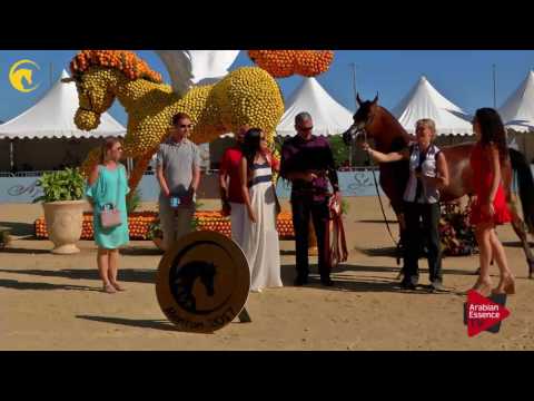 3 rd place, N.102 CYCLONE OS - MENTON 2017 - Junior Male Championship (Class 15)