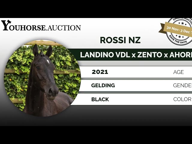 Rossi first jumps under the saddle