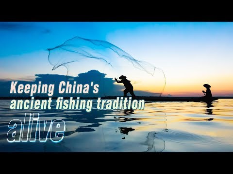 Arab Today- Keeping China's ancient fishing tradition alive