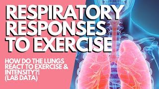 RESPIRATORY RESPONSES TO EXERCISE: How Our Breathing Changes with Exercise Intensity