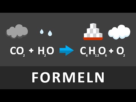 Formel Photosynthese & Zellatmung | schnell und einfach