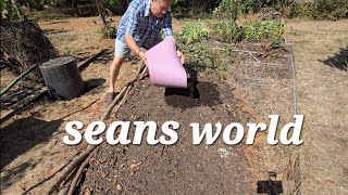 Could Adding This Save My Plants From Drought