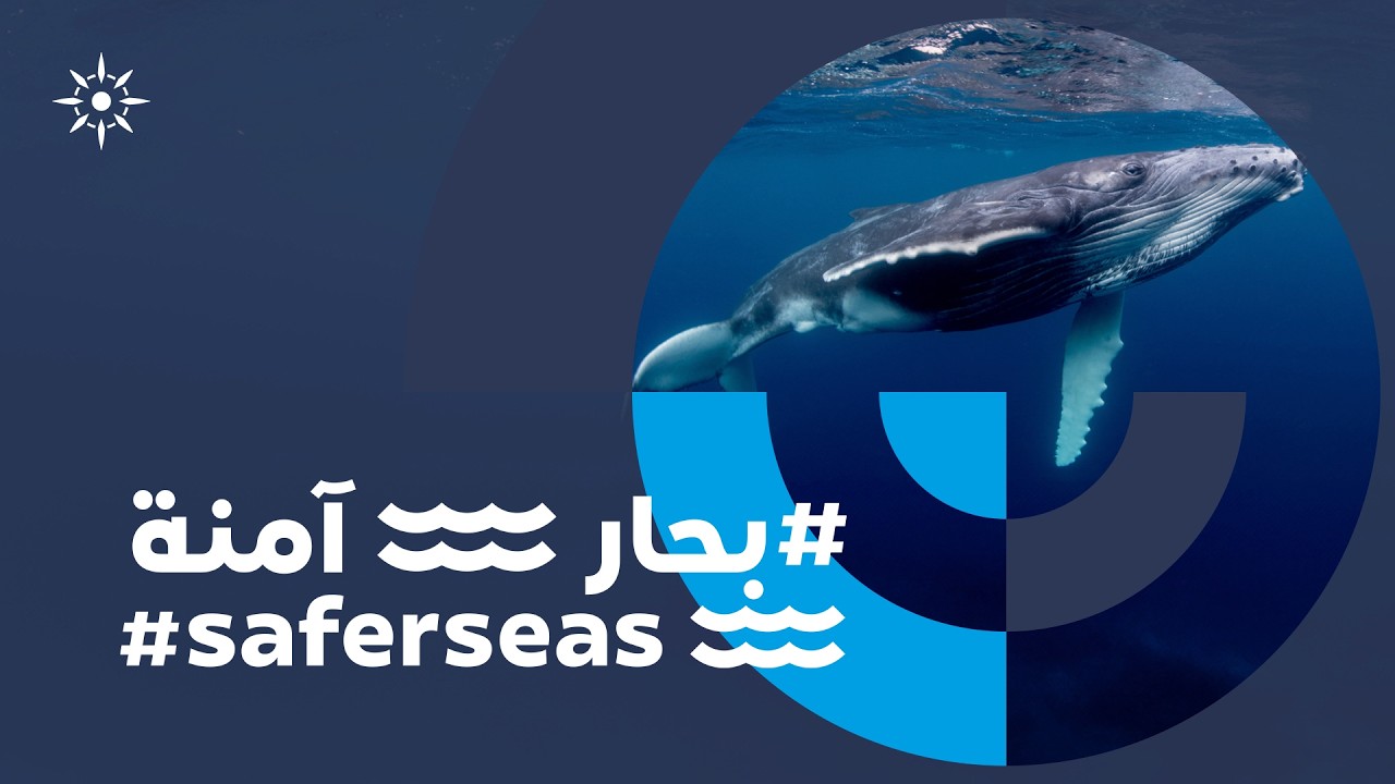 #saferseas – our commitment to secure a safer and cleaner maritime future for all | AD Ports Group