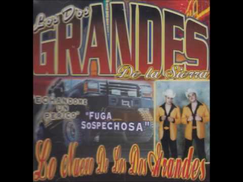 Sangre Sinaloense - Los Dos Grandes De La Sierra (Echandome Un Perico)
