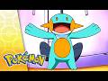 What I Did For Love POKÉMON FULL EPISODE 22 Season 9