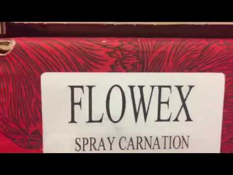 FLOWEX - shipment French Mother's Day