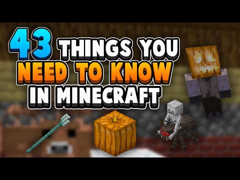 43 Things You NEED To Know About Survival Minecraft