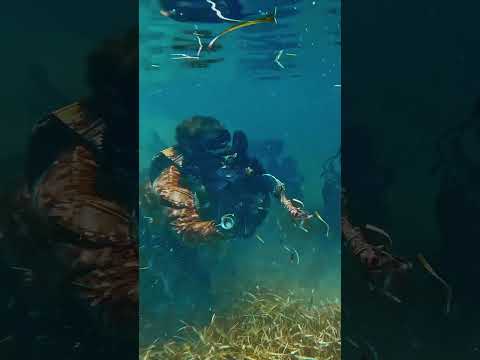 Sneaky Tactics: Army Special Forces Closed-Circuit Dive Exercise