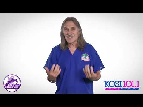 Ask Dr. Jeff: No Money For Surgery?