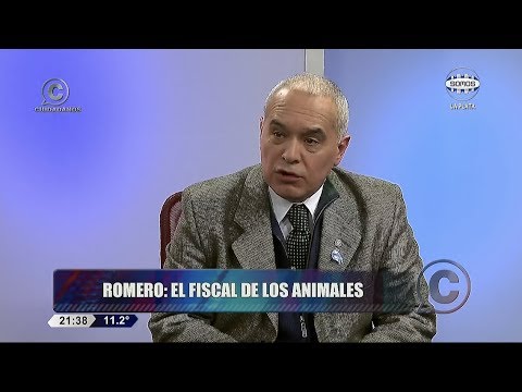 Fiscal Romero: "Loza no es un delincuente pero producir aceite de cannabis es más delito que plantar marihuana para fumarla"