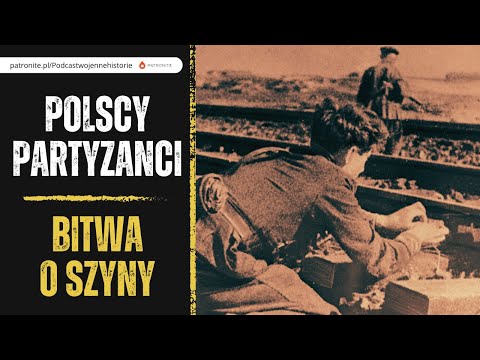 How effective were Polish partisans in the fight against the German railway?