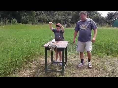 SPE 26 cc Vulturu Barbos-Baloteasca iulie 2014