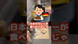 ドイツで日本のカレーを作るとどうなる？ #海外生活 #カレー #ドイツ #shorts