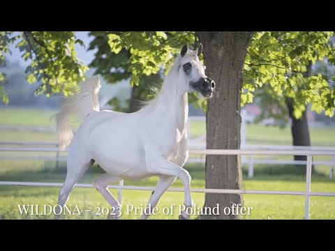 PRIDE OF POLAND 2023 - Rediscover the Polish tradition on August 13 & 14