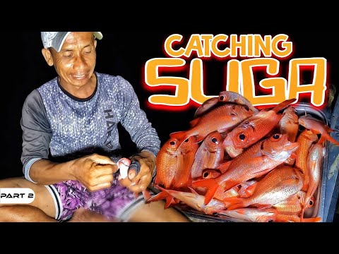 P2-PANGANGAWIL NG SUGA - EP1141