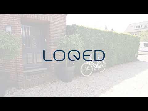 download lagu mp3 mp4 Loqed, download lagu Loqed gratis, unduh video klip Loqed