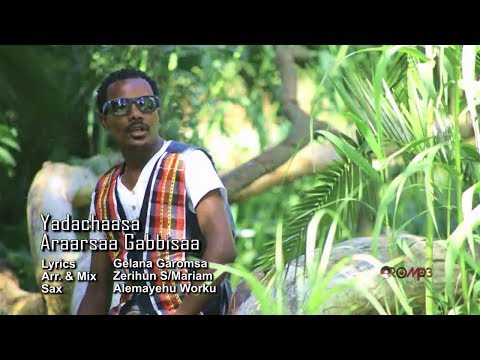 Ararsa Gabbisa - Yaadachaasaa (Oromo Music 2014 New)