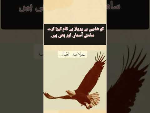 Mudassir voice.#poetry #lovelypoetry #challengevideo #quotes #islamicstatus #virlshort