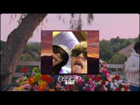 CARLO - bébé ❤️ (Official Visualiser)