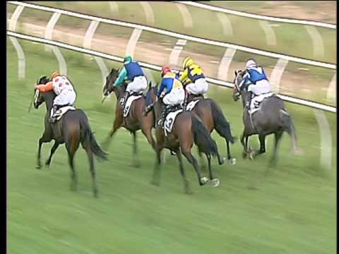 Galoppo 28/06/2017 - 4ª corsa