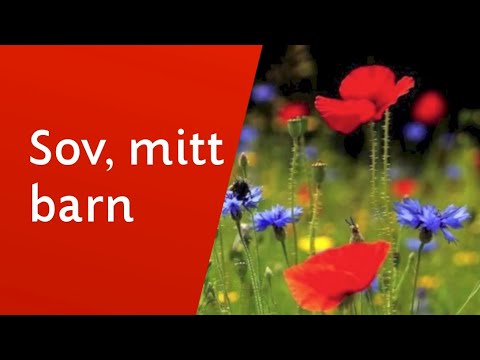 download lagu mp3 mp4 Sov Mit Barn Sov Lnge, download lagu Sov Mit Barn Sov Lnge gratis, unduh video klip Sov Mit Barn Sov Lnge