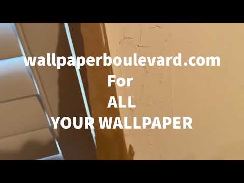 How to Skimcoat Walls before Wallpaper: Master Class for Beginners - Spencer Colgan