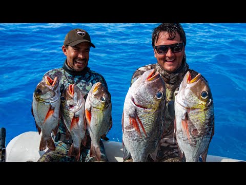 Will I regret this? MONSTER MACKEREL + MU (Sailing Popao) Ep.63