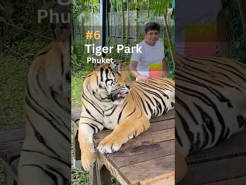 Top 7 Family-Friendly Destinations in Thailand You Can't Miss! #thailand #challenge