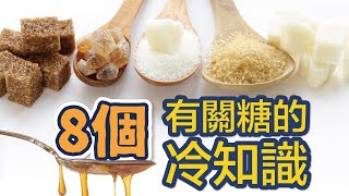 31 .《肥者生存》第七集：八個有關糖的冷知識