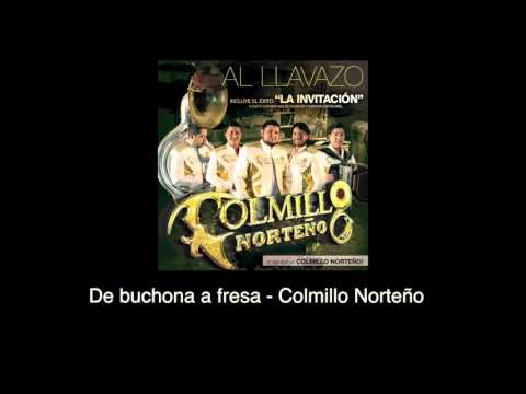 Video De Buchona a Fresa (Audio) de Colmillo Norteño