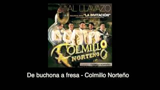 Video De Buchona a Fresa (Audio) de Colmillo Norteño