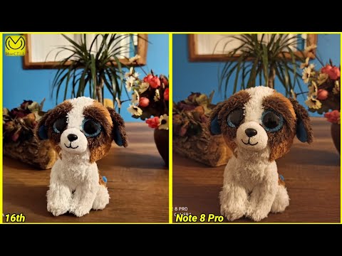 MEIZU 16th vs REDMI Note 8 PRO kamera fotoğraf karşılaştırması / camera photo compare