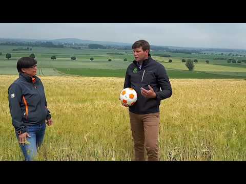 Deutschlandtour 2020: Vorstellung der aktuellen Öko-Sorten