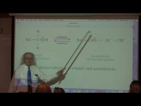 26. Ahern's BB 350 at Oregon State University - Metabolic Energy & Glycolysis