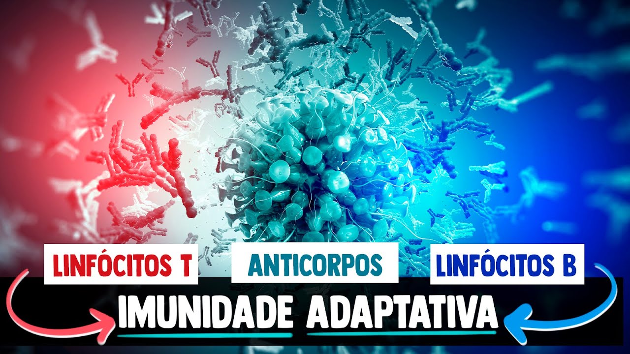 Sistema Imunológico: IMUNIDADE ADAPTATIVA RESUMIDA │ Imunologia