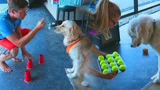 DOG BRAIN TEASERS! (Super Cooper Sunday #73)