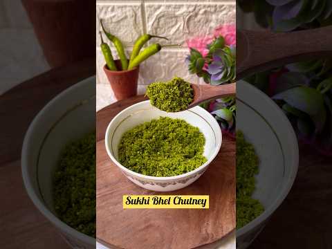 Mumbai’s Secret Bhelpuri Chutney | Sukhi Bhel Chutney | Dry Bhel Chutney #shorts #youtubeshorts