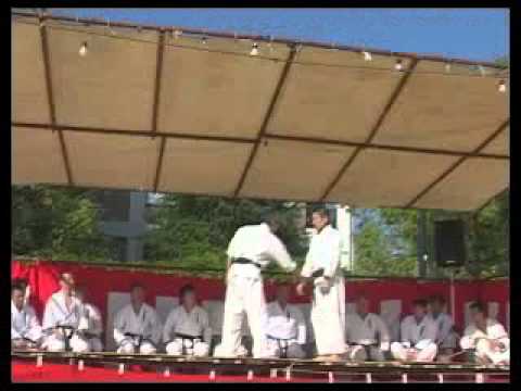 平成２４年度　心体育道 奉納演武 【一般部】 ★神田神社