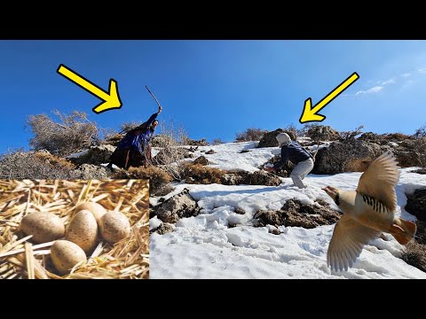 Wild mountains and a terrifying secret: Taban in the grip of fear😱!