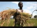 Angelique Kidjo Dave Matthews Iwoya Wmv